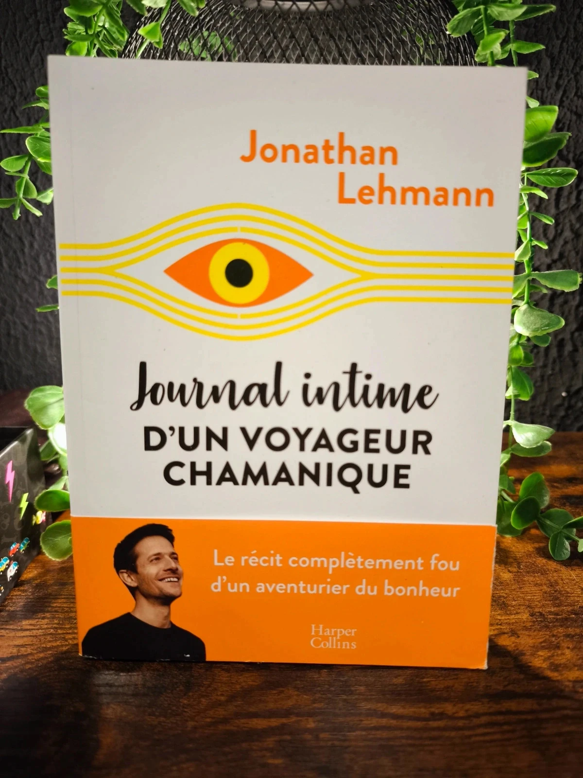 Journal intime d'un voyageur chamanique